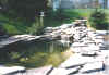 pond3.jpg (62229 bytes)