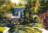 pond4.jpg (86050 bytes)