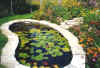pond5.jpg (54432 bytes)